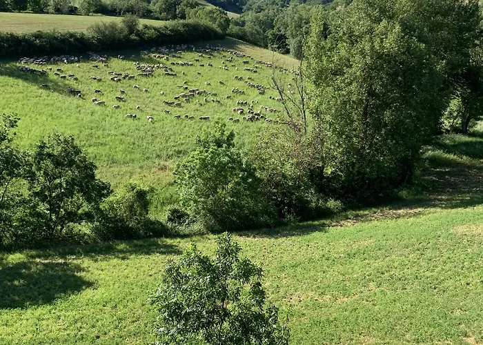 Cit'hotel Restaurant Du Bowling De Отель Мийо